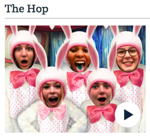 Bunnies 1 